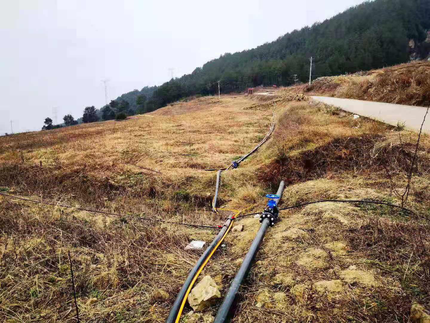 四川漢源花椒水肥一體化項目