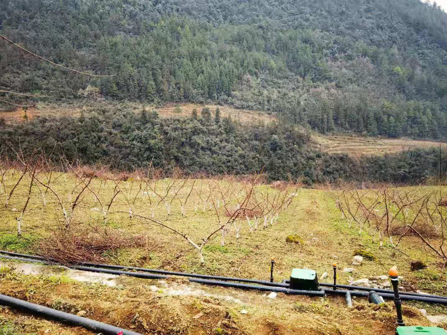 彭水智能水肥一體化項目